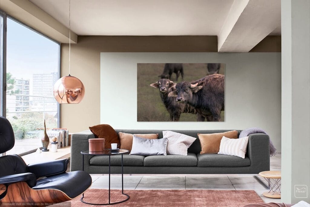 Waterbuffels-in-de-Biescbosch