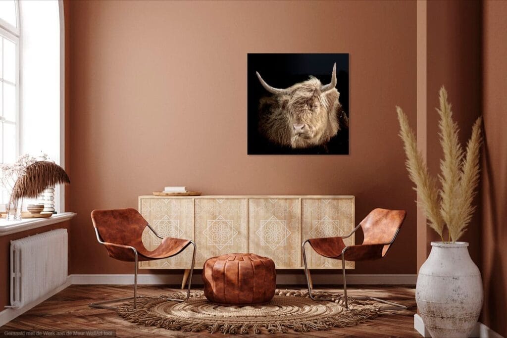Schotse Hooglander muurdecoratie
